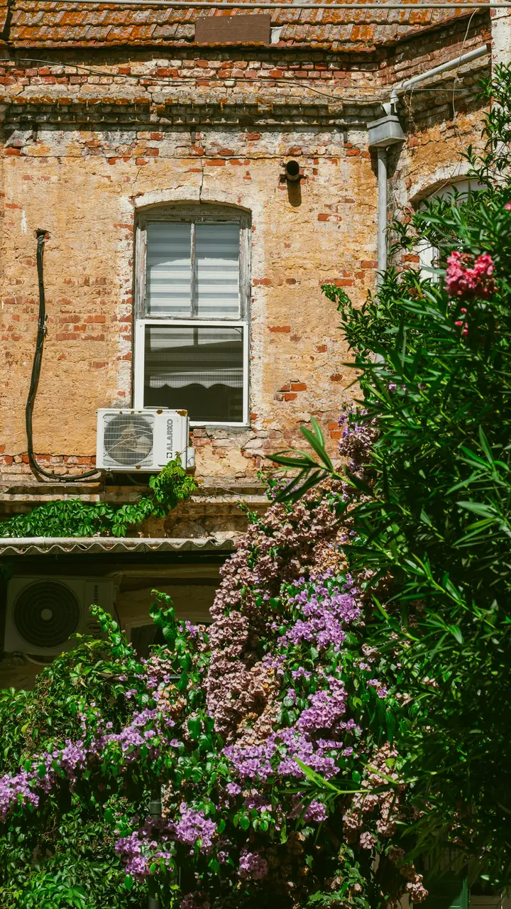 Réfection de toiture